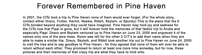 Forever Remembered in Pine Haven