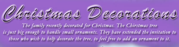 Christmas at the Cemetery