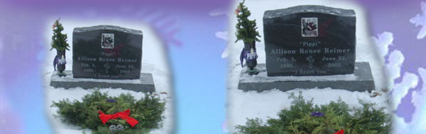 Christmas at the Cemetery